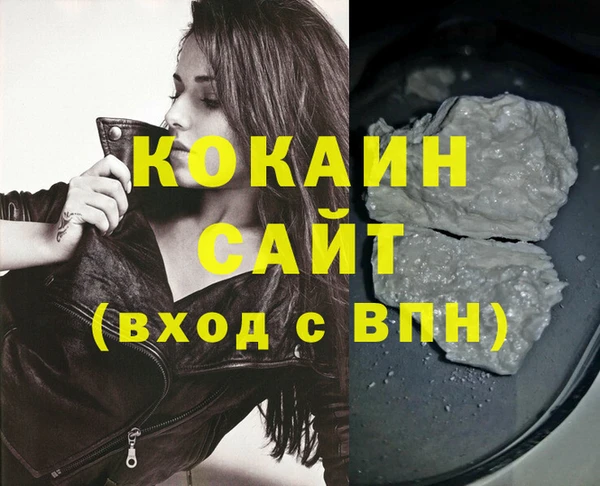 молекула духа Пестово
