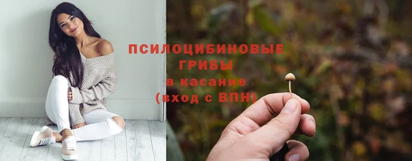 СК Пересвет