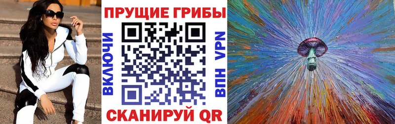 blacksprut ссылка  Стрежевой  Галлюциногенные грибы MAGIC MUSHROOMS 