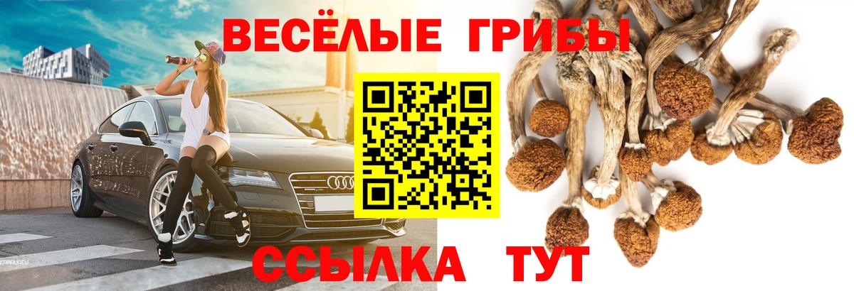 ГАШ  Вход с VPN  Как найти закладки?  ГАШИШ  КЕТАМИН  Экстази  МЕФ кристаллы  Стрежевой  Cocaine 