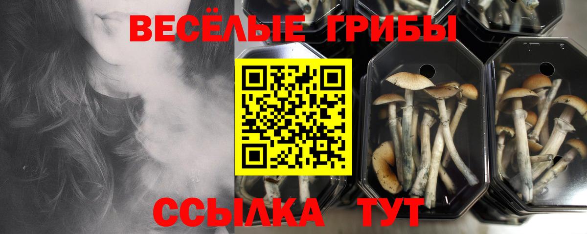Псилоцибиновые грибы мухоморы Стрежевой